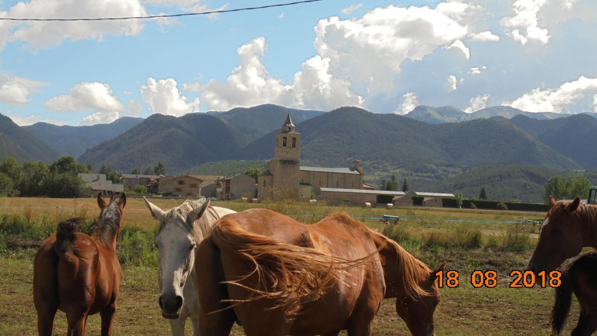 Can Vall Bellver Bellver De Cerdanya Luaran gambar